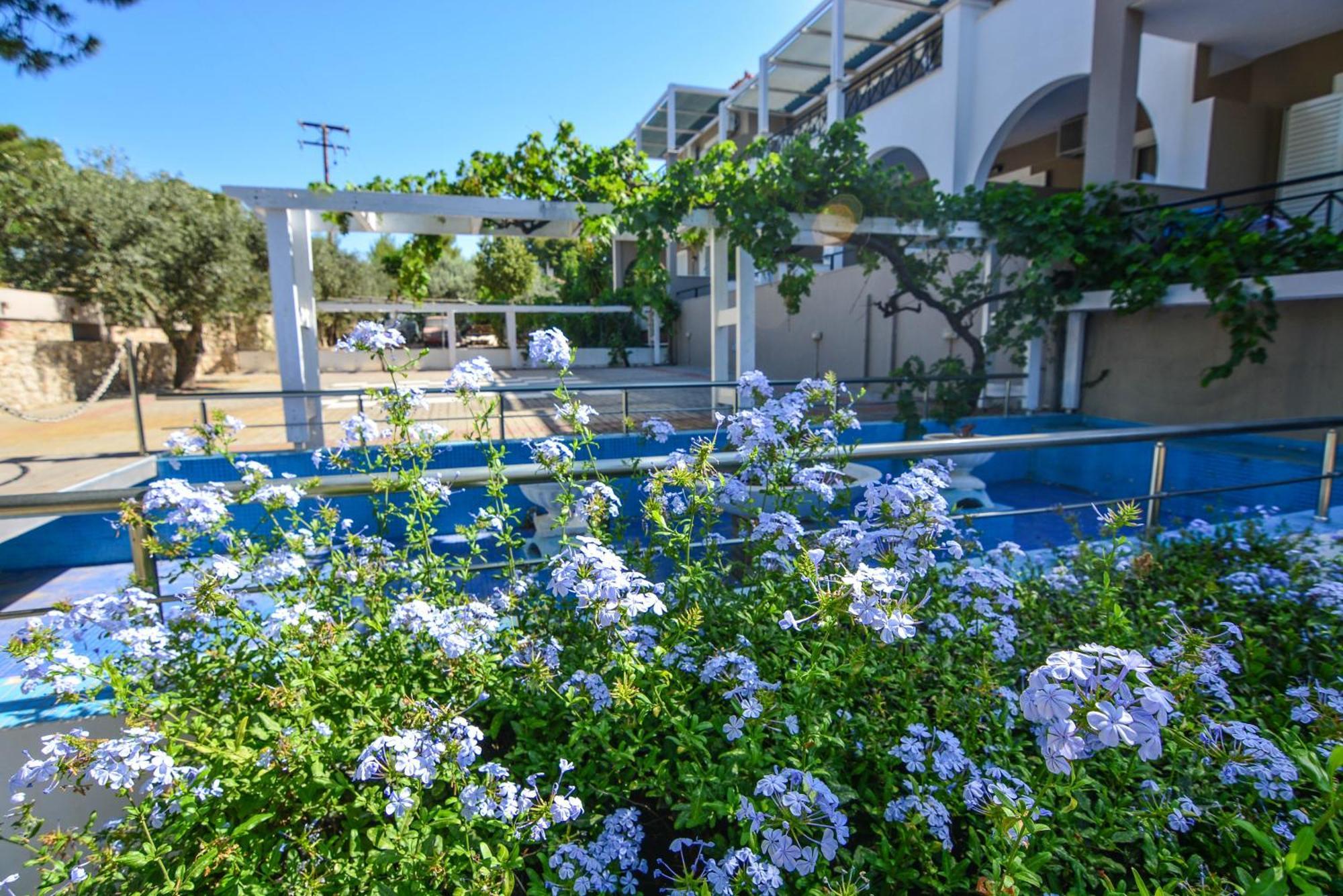 Epavlis Beach Resort ポルト・ヘリ エクステリア 写真